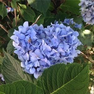 Meet your Posher, Tracey